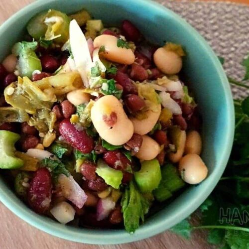 Four Bean Marinated Salad