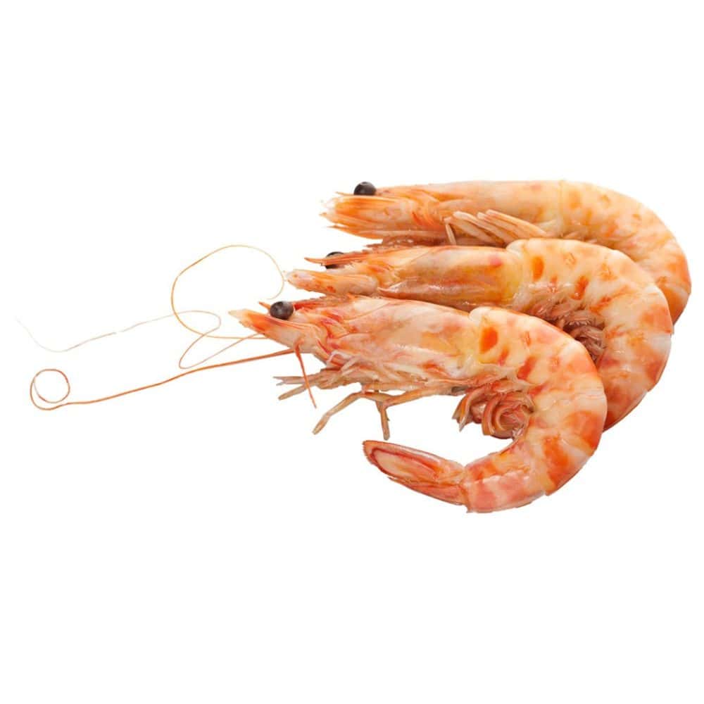 raew shrimpps
